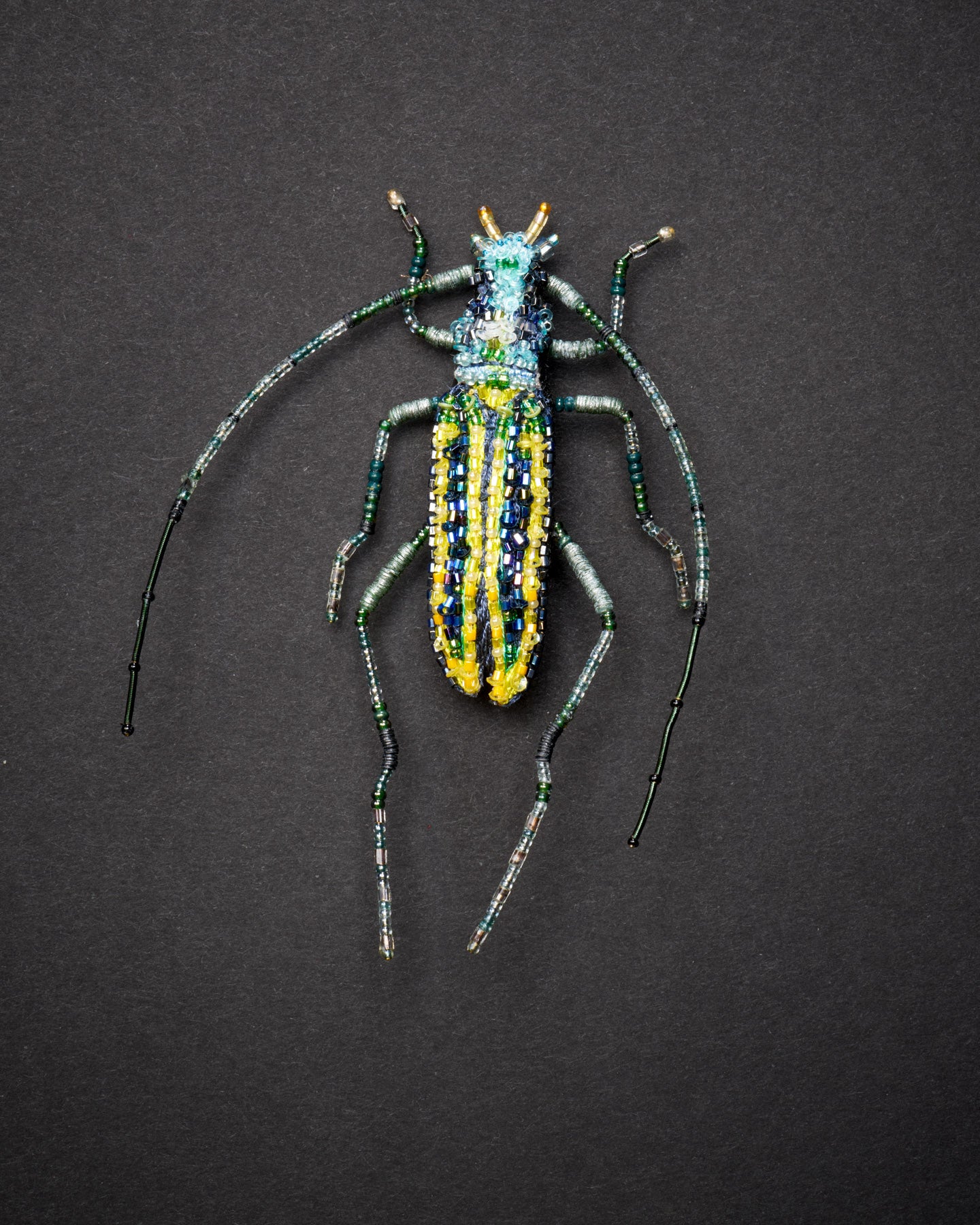 EXT-TL-B-971_Longhorn_Beetle_1.jpg