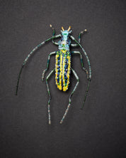 Longhorn Beetle Brooch Pin - Trovelore
