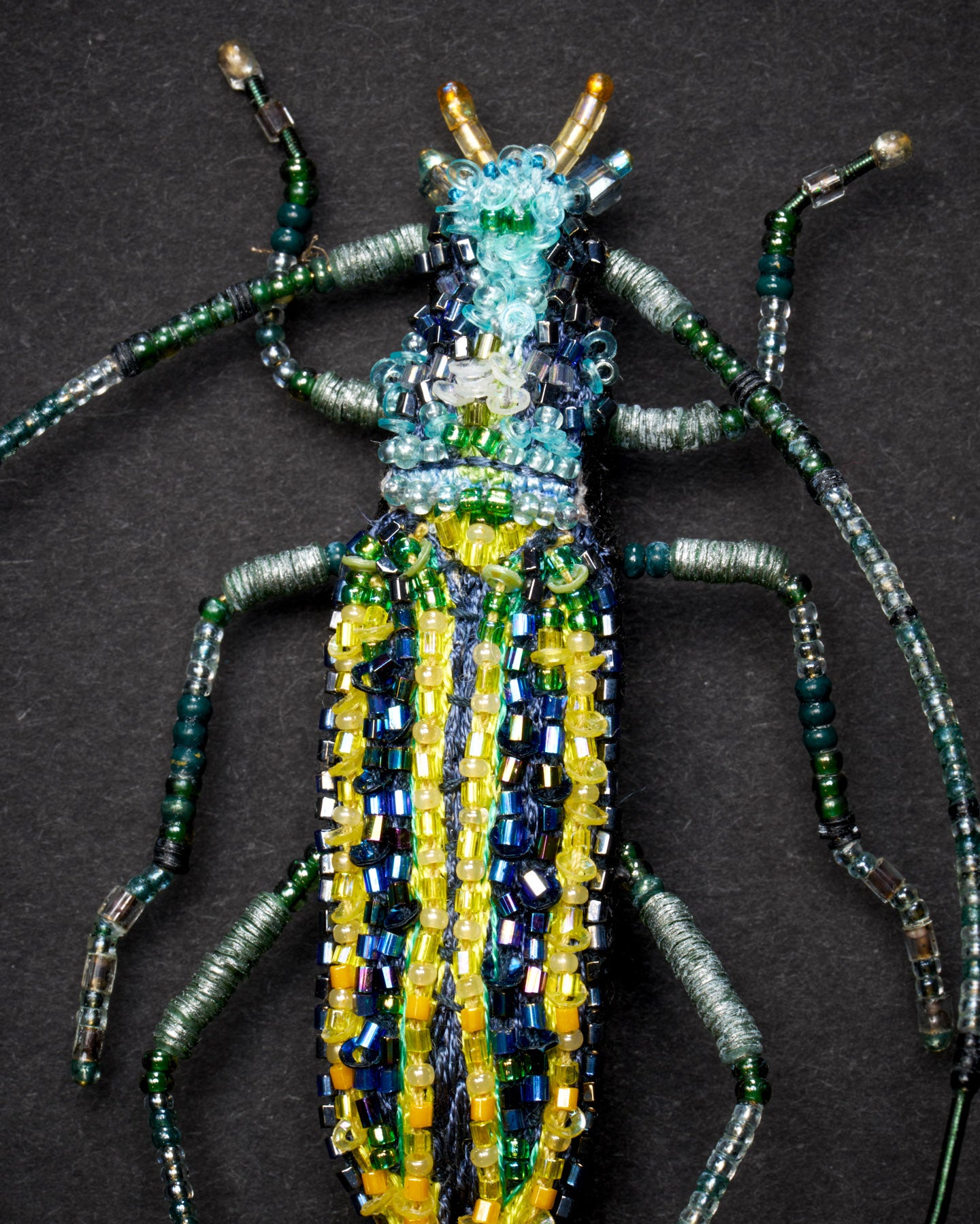 EXT-TL-B-971_Longhorn_Beetle_2.jpg