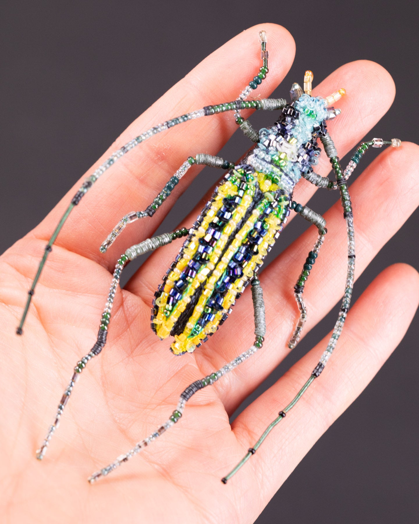 EXT-TL-B-971_Longhorn_Beetle_3.jpg