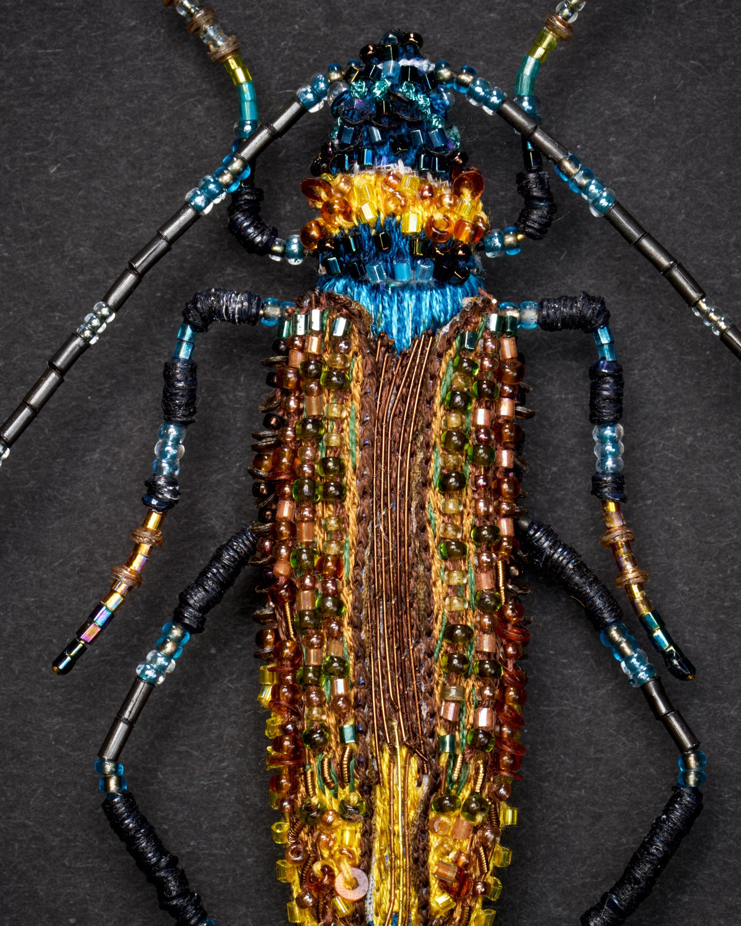 EXT-TL-B-972_Aphrodisium_Beetle_2.jpg