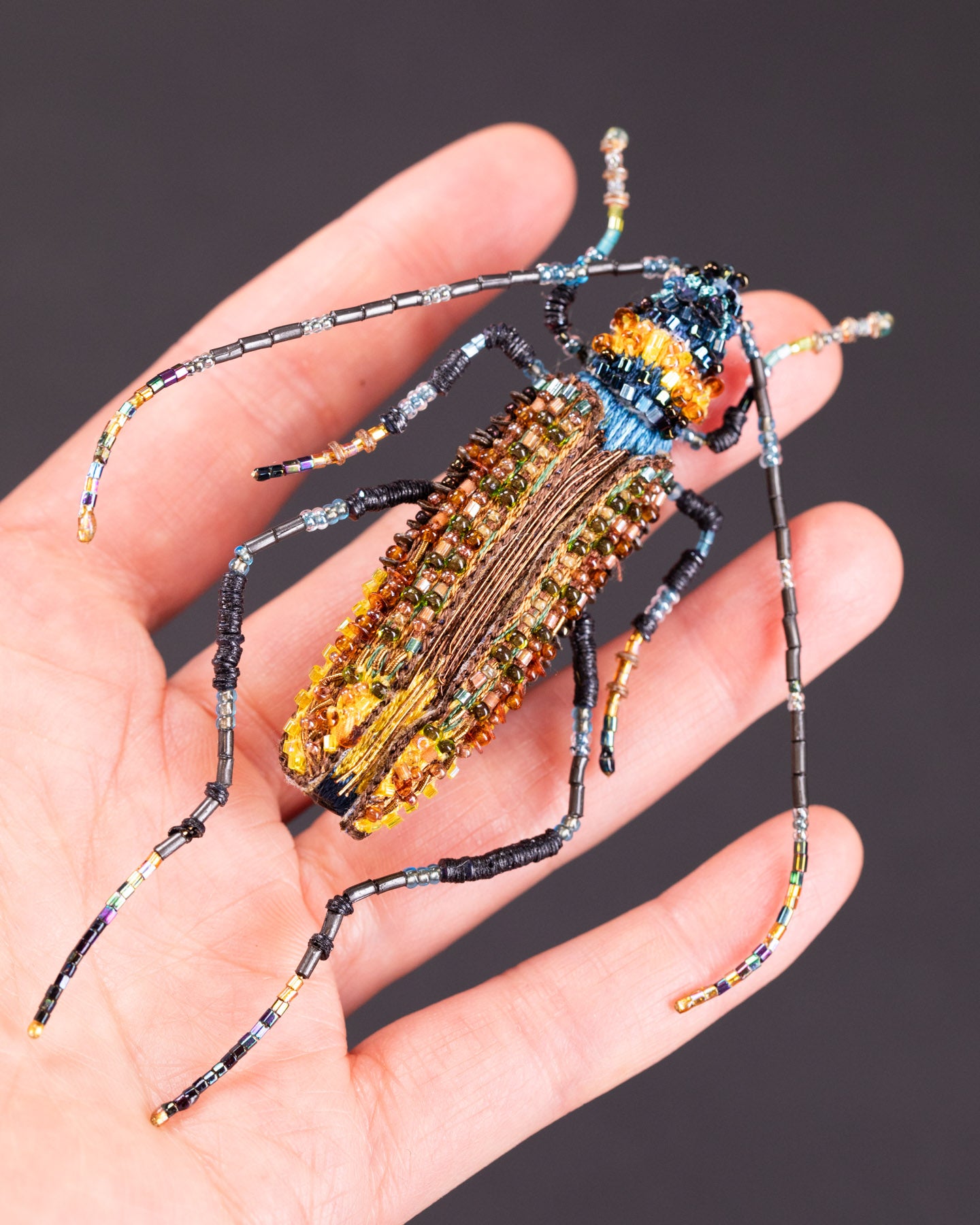 EXT-TL-B-972_Aphrodisium_Beetle_3.jpg