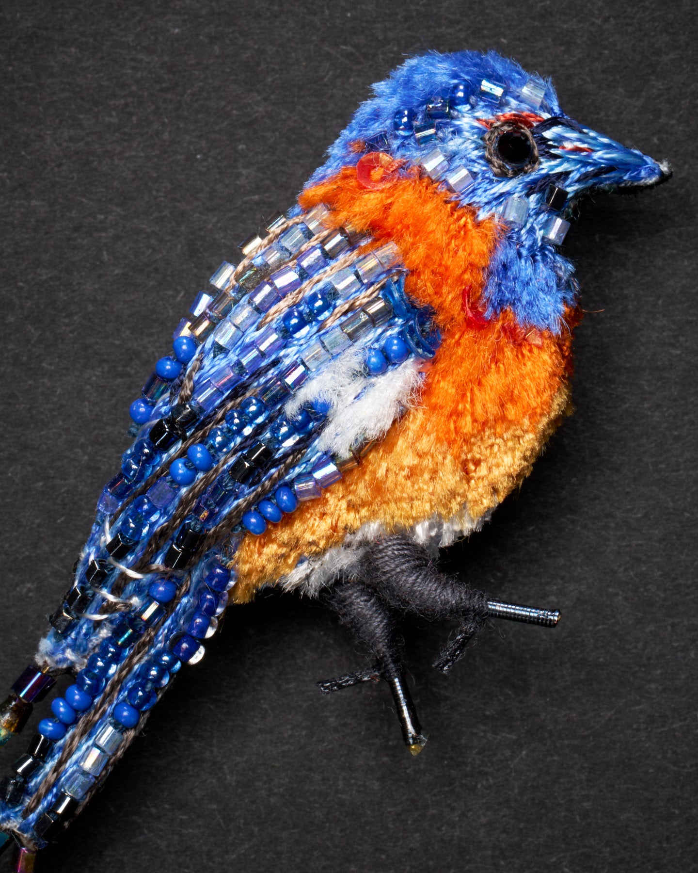 EXT-TL-B-983_Eastern_Bluebird_2.jpg