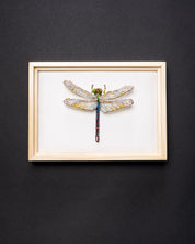 Green Darner Dragonfly Beaded Framed Art - Trovelore