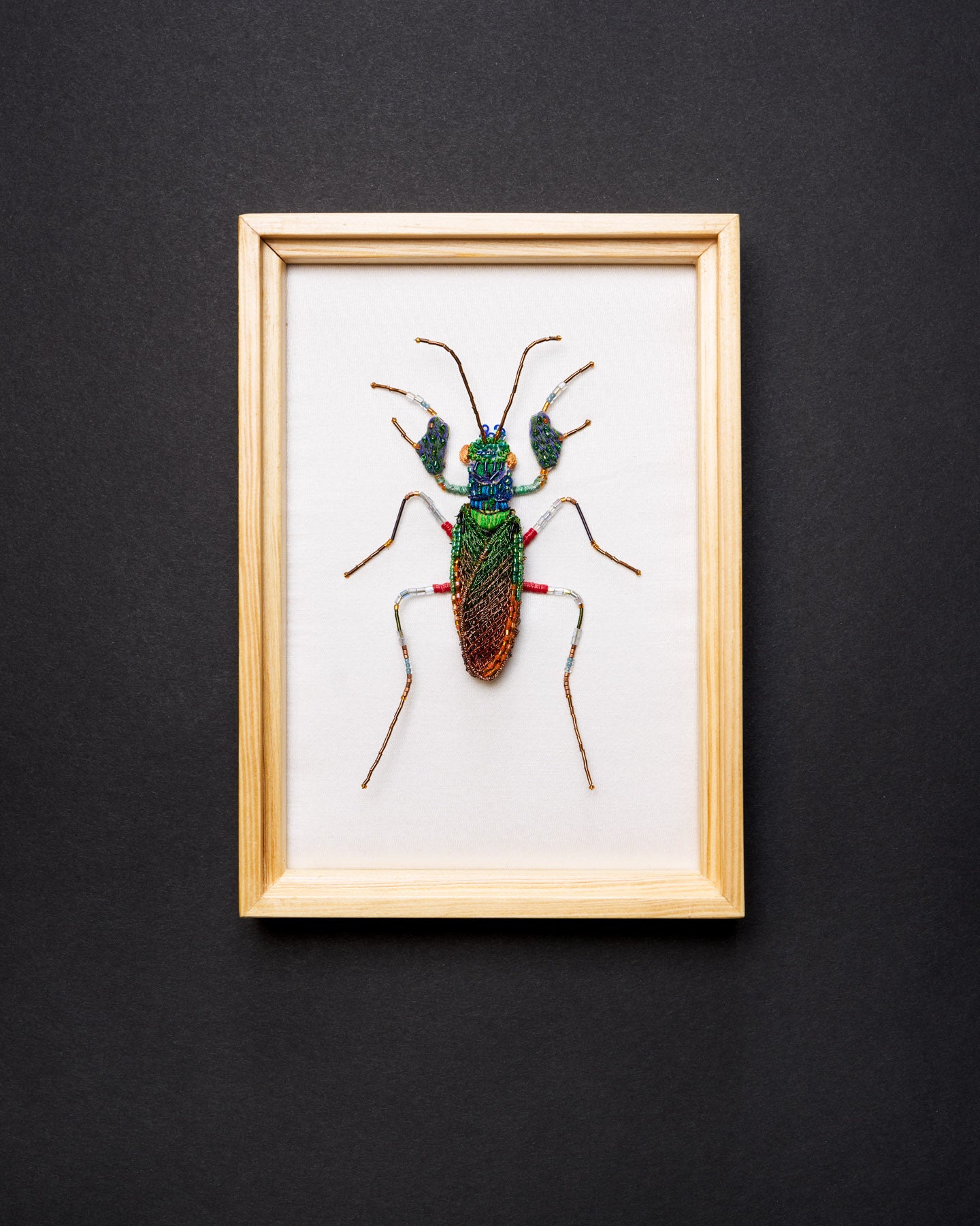 EXT-TL-BA-40N_Iridescent_Bark_Mantis_1.jpg
