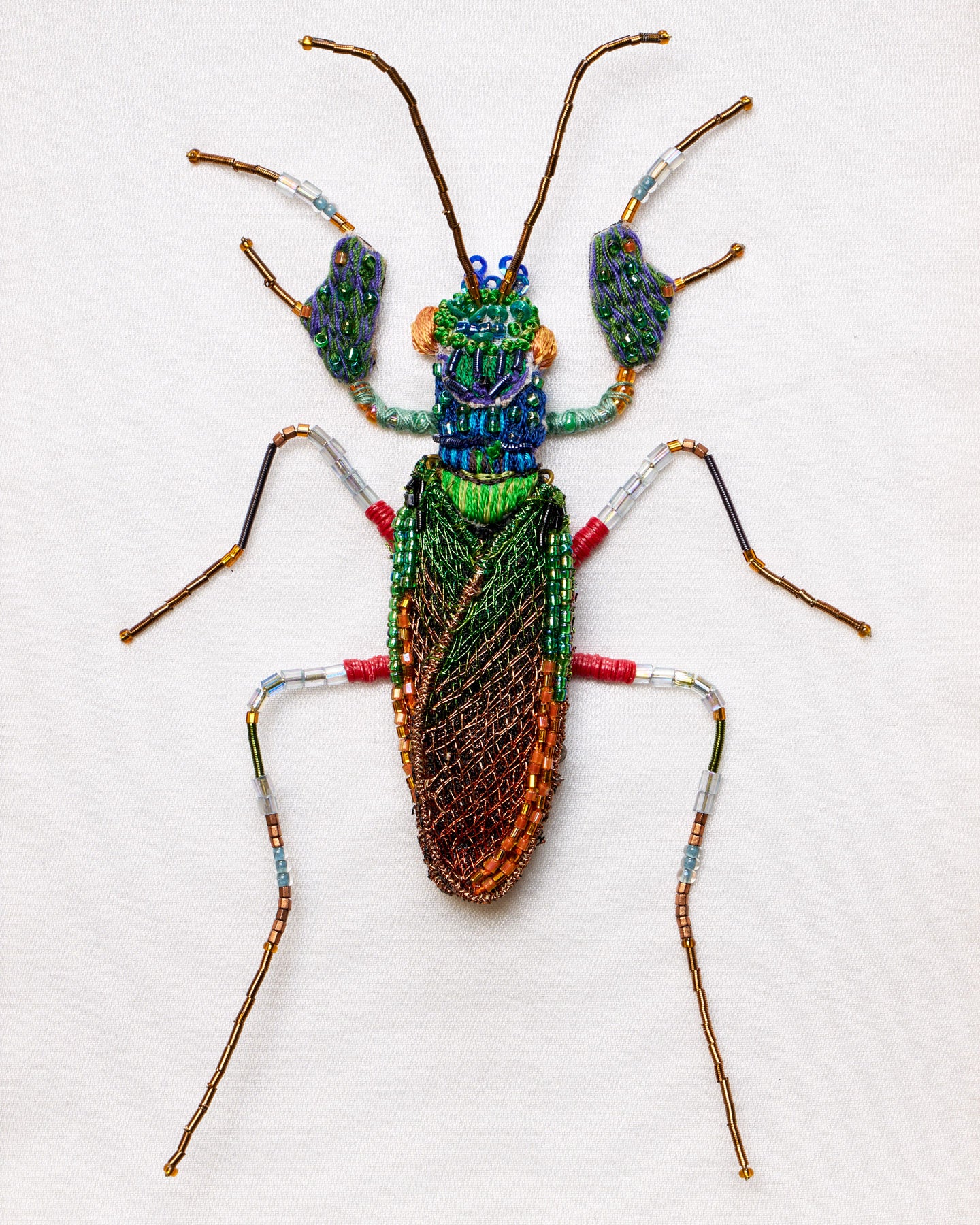 EXT-TL-BA-40N_Iridescent_Bark_Mantis_2.jpg