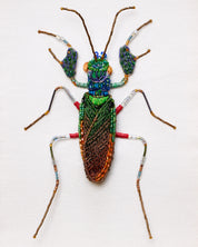 Iridescent Bark Mantis Beaded Framed Art - Trovelore