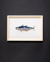 Atlantic Horse Mackerel Beaded Framed Art - Trovelore