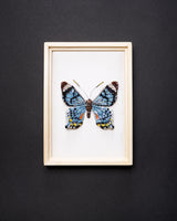 Swallowtail Butterfly Beaded Framed Art - Trovelore