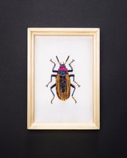 Darkling Beetle Beaded Framed Art