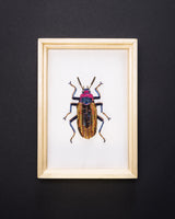 Darkling Beetle Beaded Framed Art - Trovelore