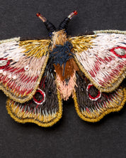 Mopane Emperor Moth Beaded Brooch Pin