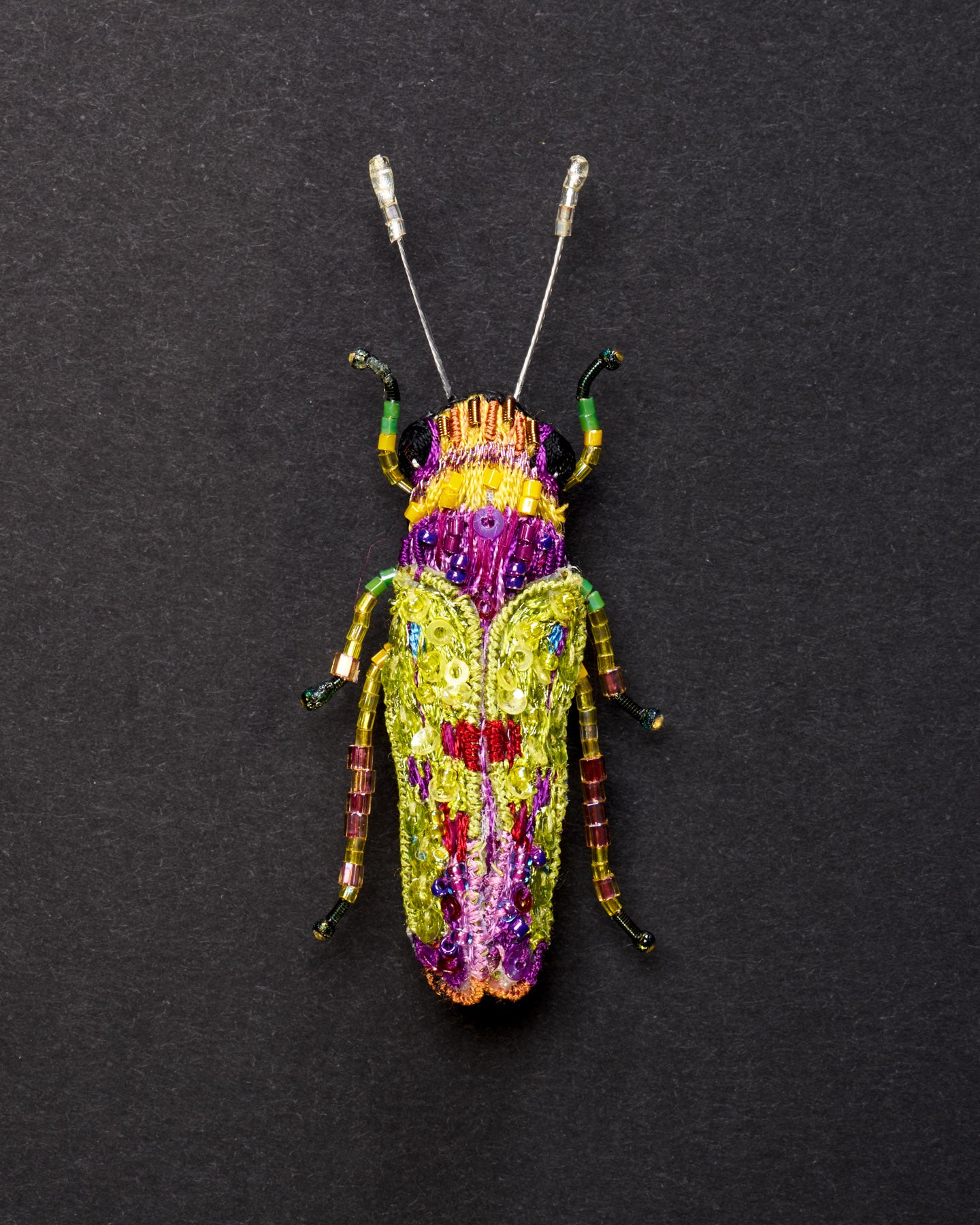 Sharpshooter Leafhopper Beaded Brooch Pin