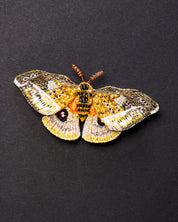 Emperor Moth Beaded Brooch Pin