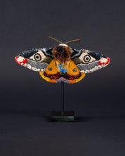 Mosaic Moth Beaded Sculpture