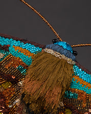 Donuca Moth Beaded Sculpture