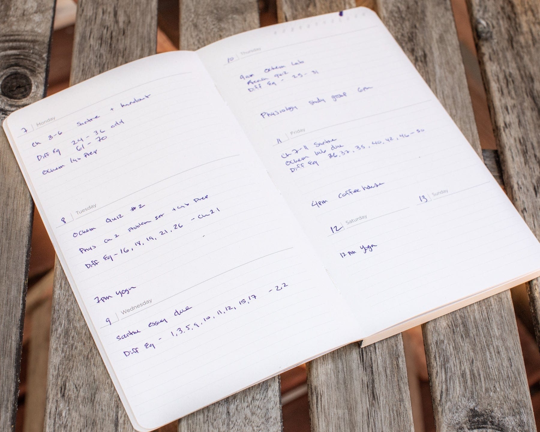 Equations That Changed the World Yearly Planner Cognitive Surplus