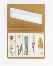 SECONDS: Flora Page Flags