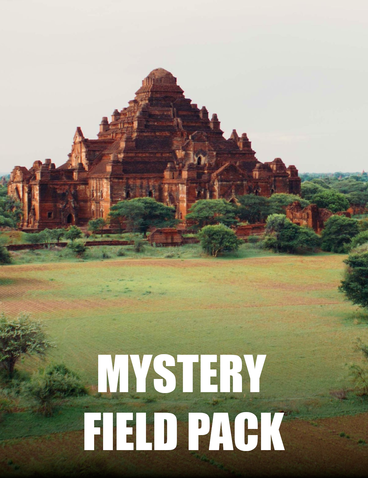 FromtheAncientAgesMFPPicture.png