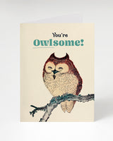 Owlsome Greeting Card
