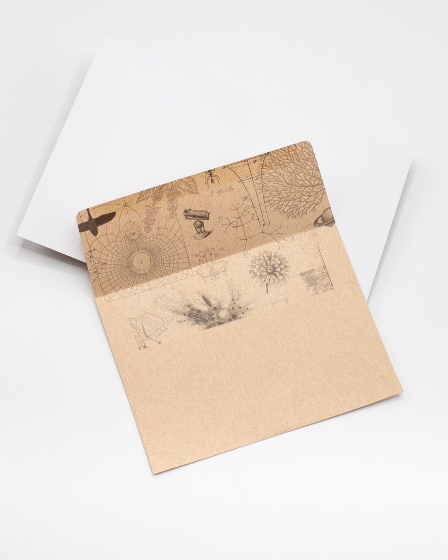 Science Greetings Women of Science Greeting Card - Science Stationery | Cognitive Surplus