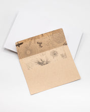 A brown envelope with a Chemis-tree Holiday Greeting Card from Cognitive Surplus.