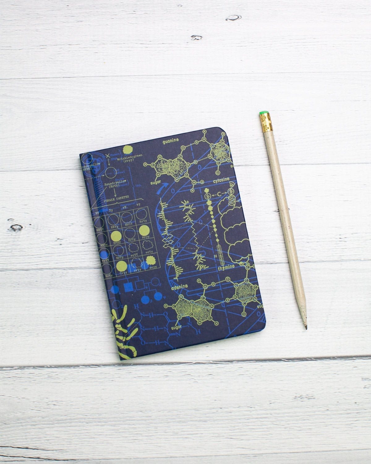 Genetics Mini Hardcover - Dot Grid Cognitive Surplus