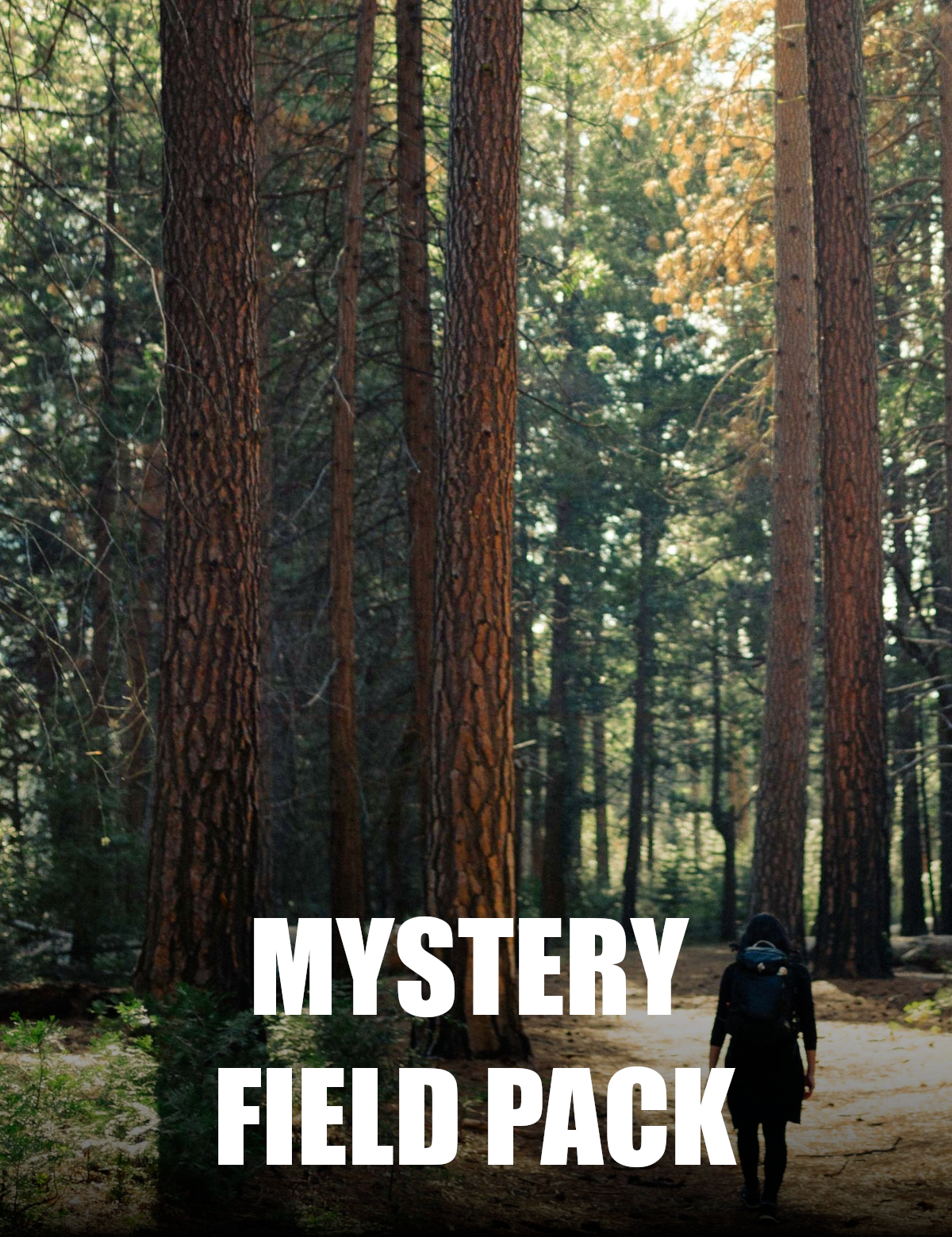 GreatOutdoorAdventureMFPPicture.png