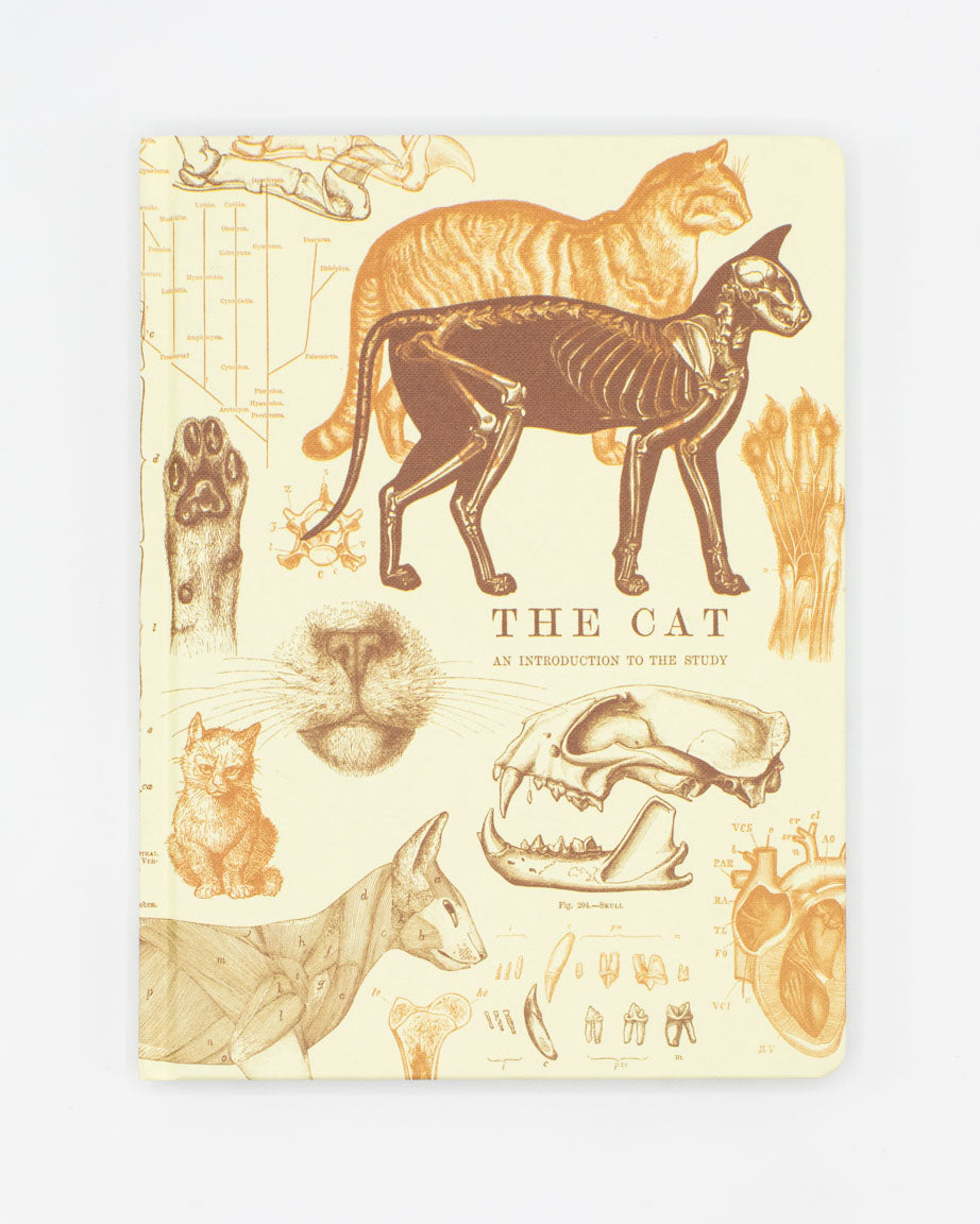 Veterinary Science: Cats Hardcover Notebook - Lined/Grid