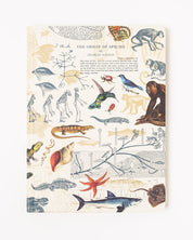 Evolution Hardcover Notebook - Dot Grid