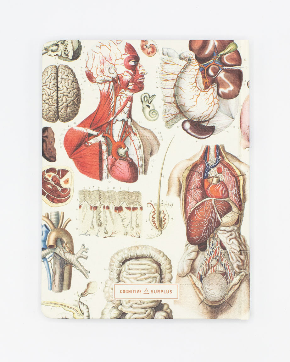 Internal Medicine Hardcover Notebook - Lined/Grid