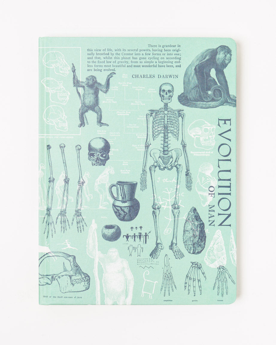 Human Evolution Hardcover Notebook - Lined / Grid