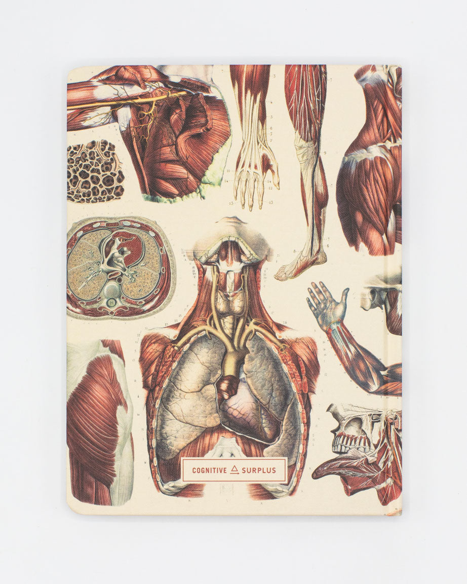 Anatomy: Muscles Hardcover Notebook - Lined/Grid