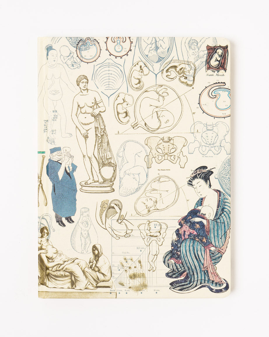 Pregnancy & Birthing Hardcover Notebook - Lined / Grid