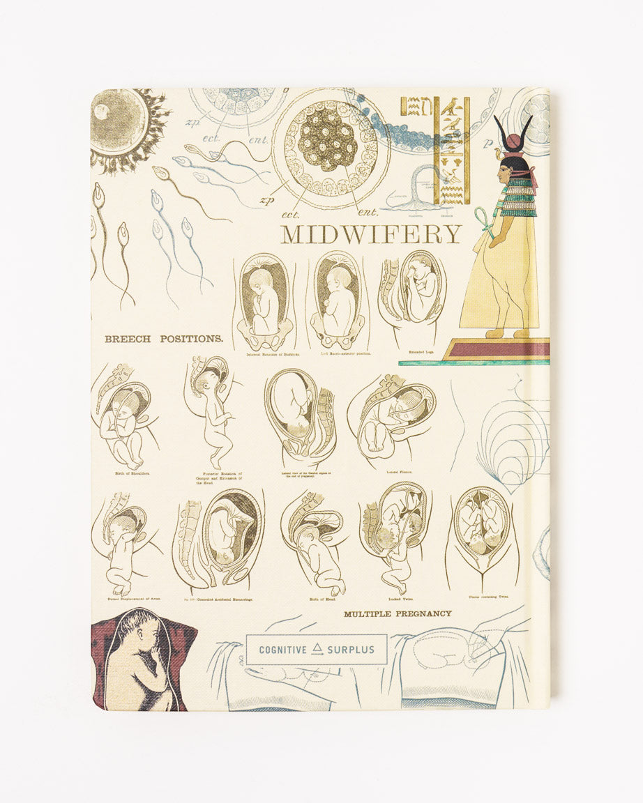 Pregnancy & Birthing Hardcover Notebook - Lined / Grid