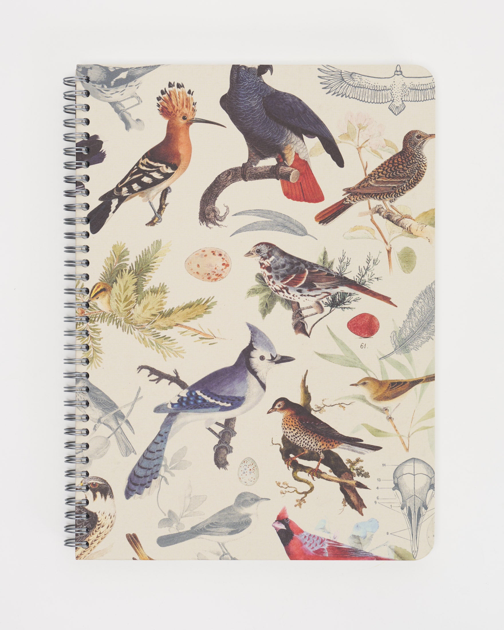 Feathered Friends: Birds Spiral Notebook
