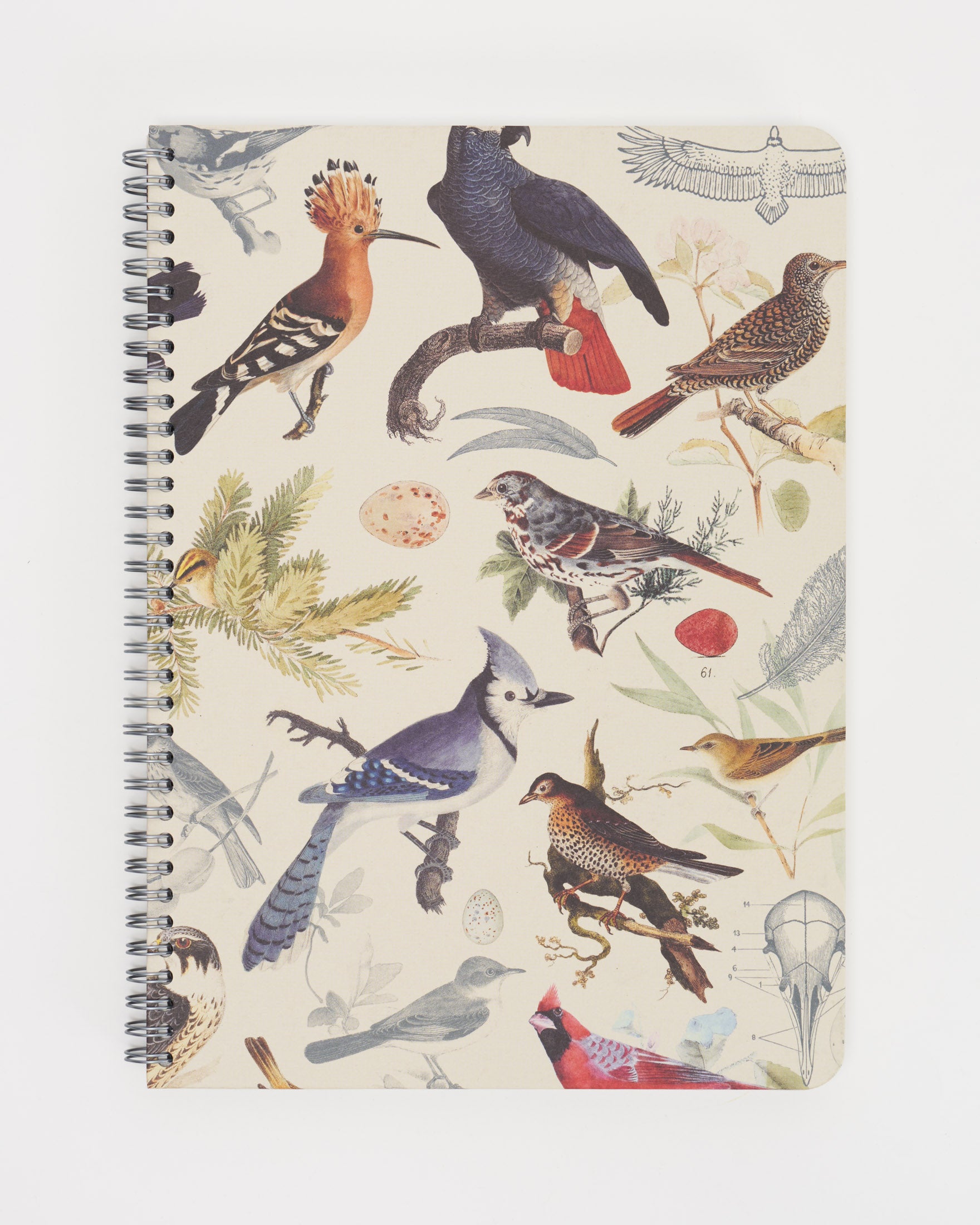 Bird Draw Notebook Ornithology: Birds Spiral Notebook | Cognitive Surplus
