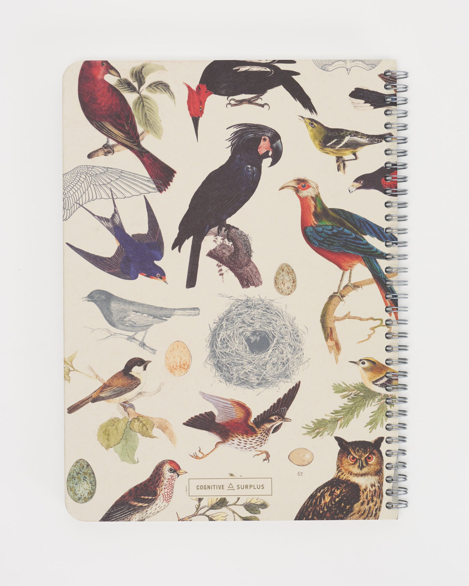 Bird Draw Notebook Ornithology: Birds Spiral Notebook | Cognitive Surplus