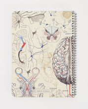 SECONDS: Brain & Neuroscience Spiral Notebook A4 (8.3" x 11.7")