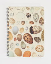 Bird Eggs Spiral Notebook - Lined