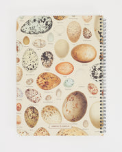 Bird Eggs Spiral Notebook - Lined