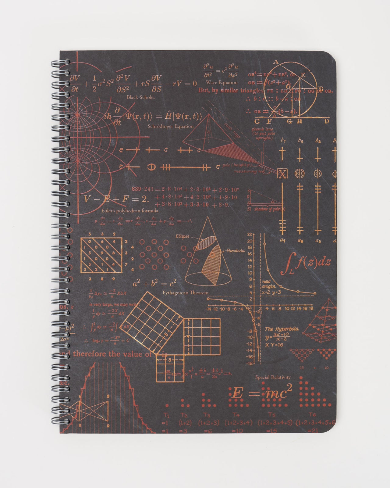 Math Equations That Changed the World Spiral Notebook | Cognitive Surplus