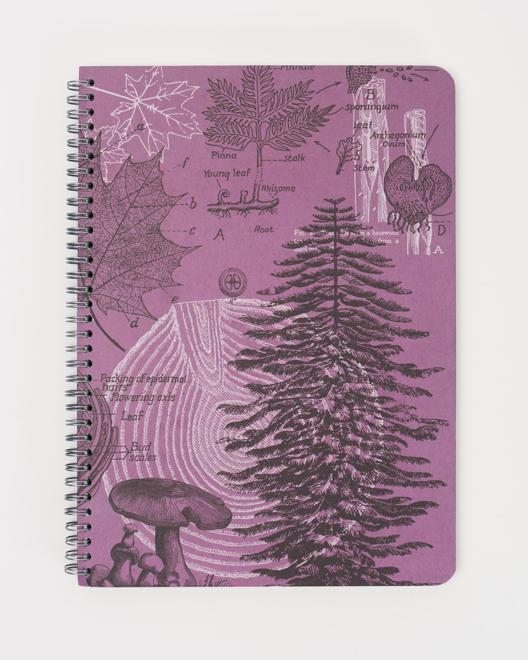 Forest at Dusk Spiral Notebook