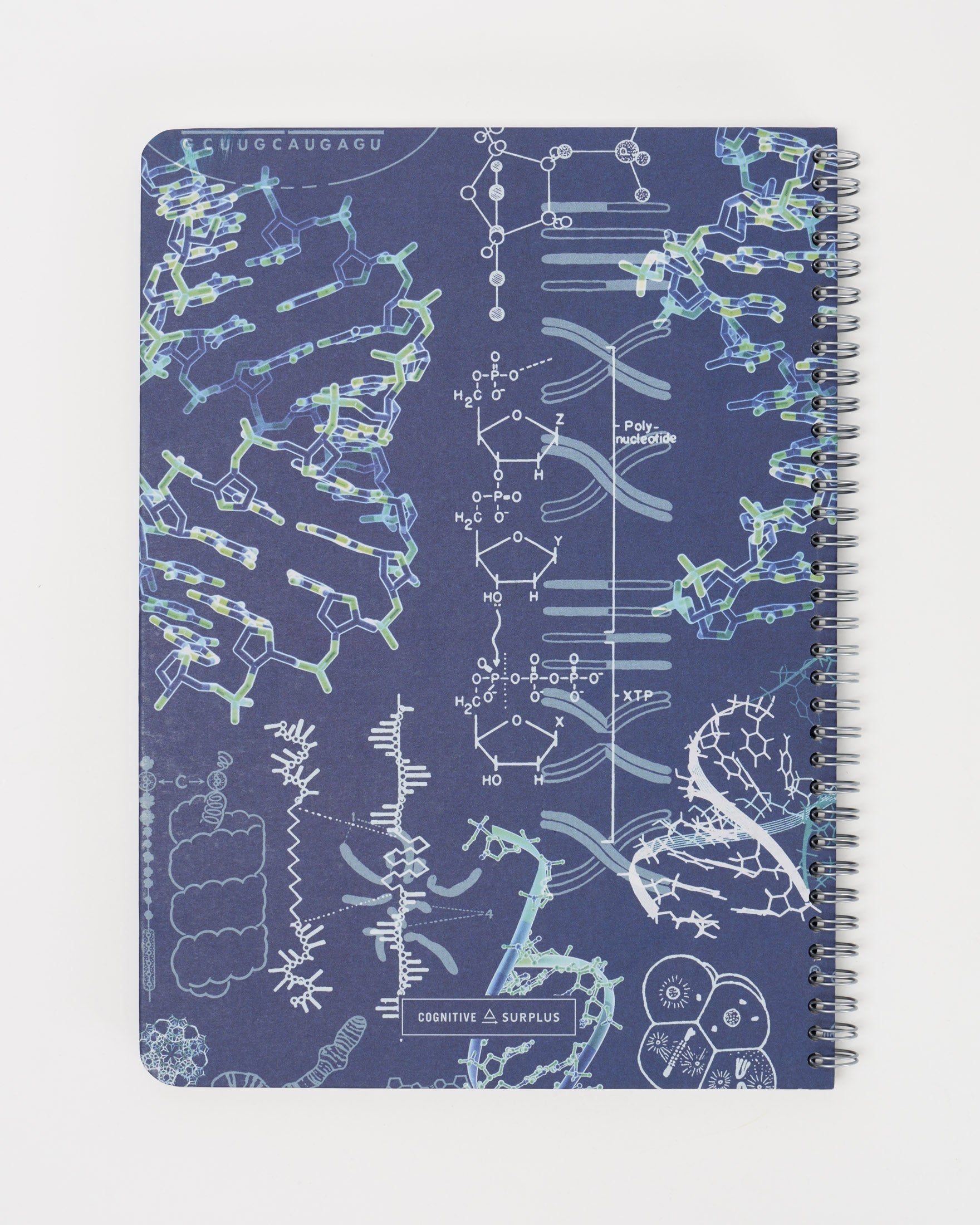 SECONDS: Genetics & DNA Spiral Notebook A4 (8.3" x 11.7")