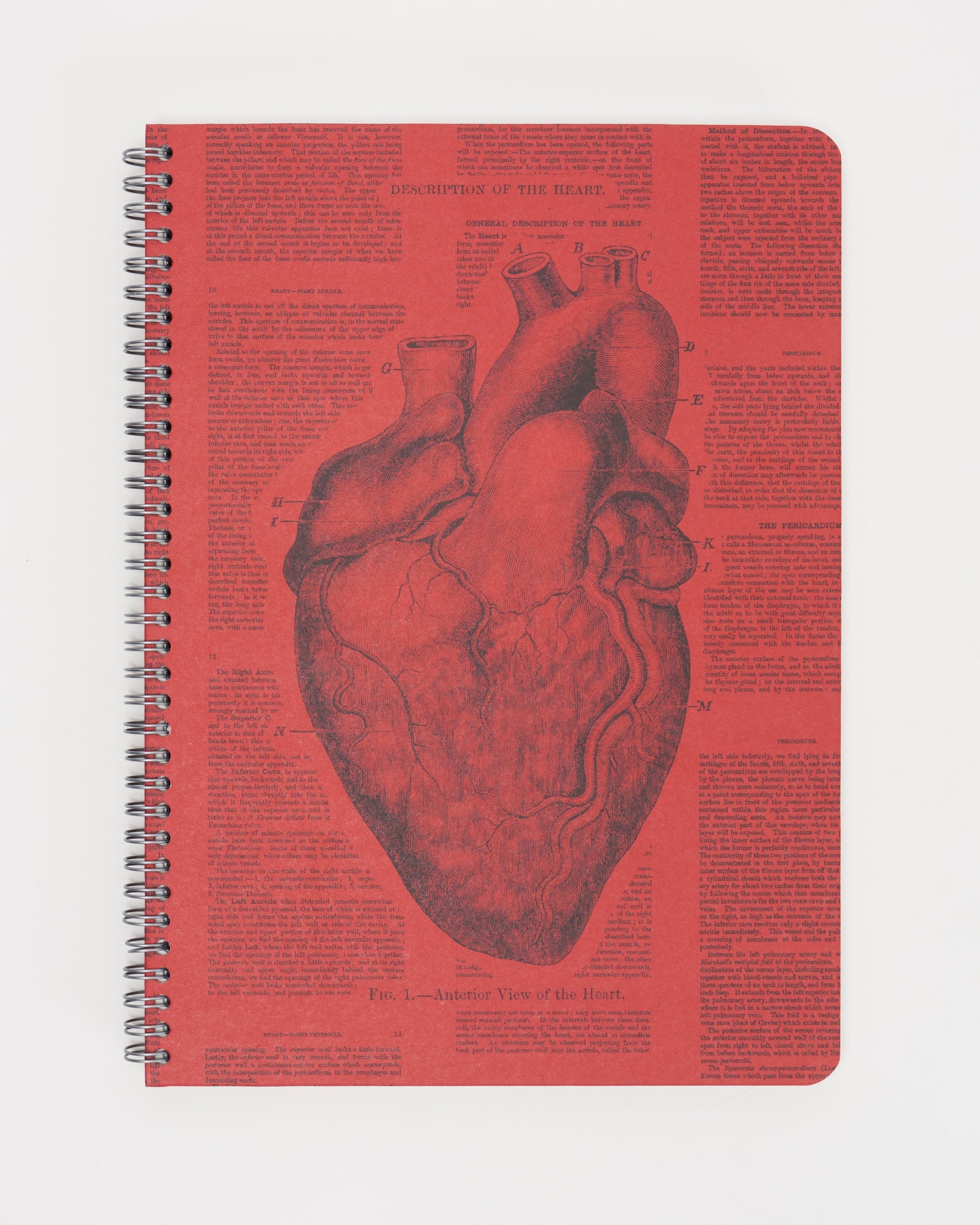 SECONDS: Anatomical Heart Spiral Notebook A5 (5.8" x 8.3")