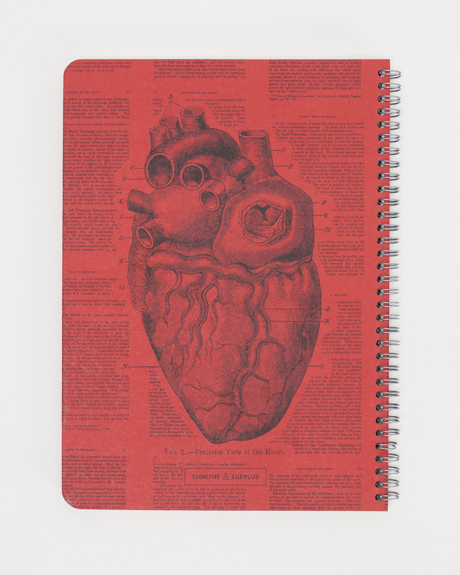 SECONDS: Anatomical Heart Spiral Notebook A4 (8.3" x 11.7")