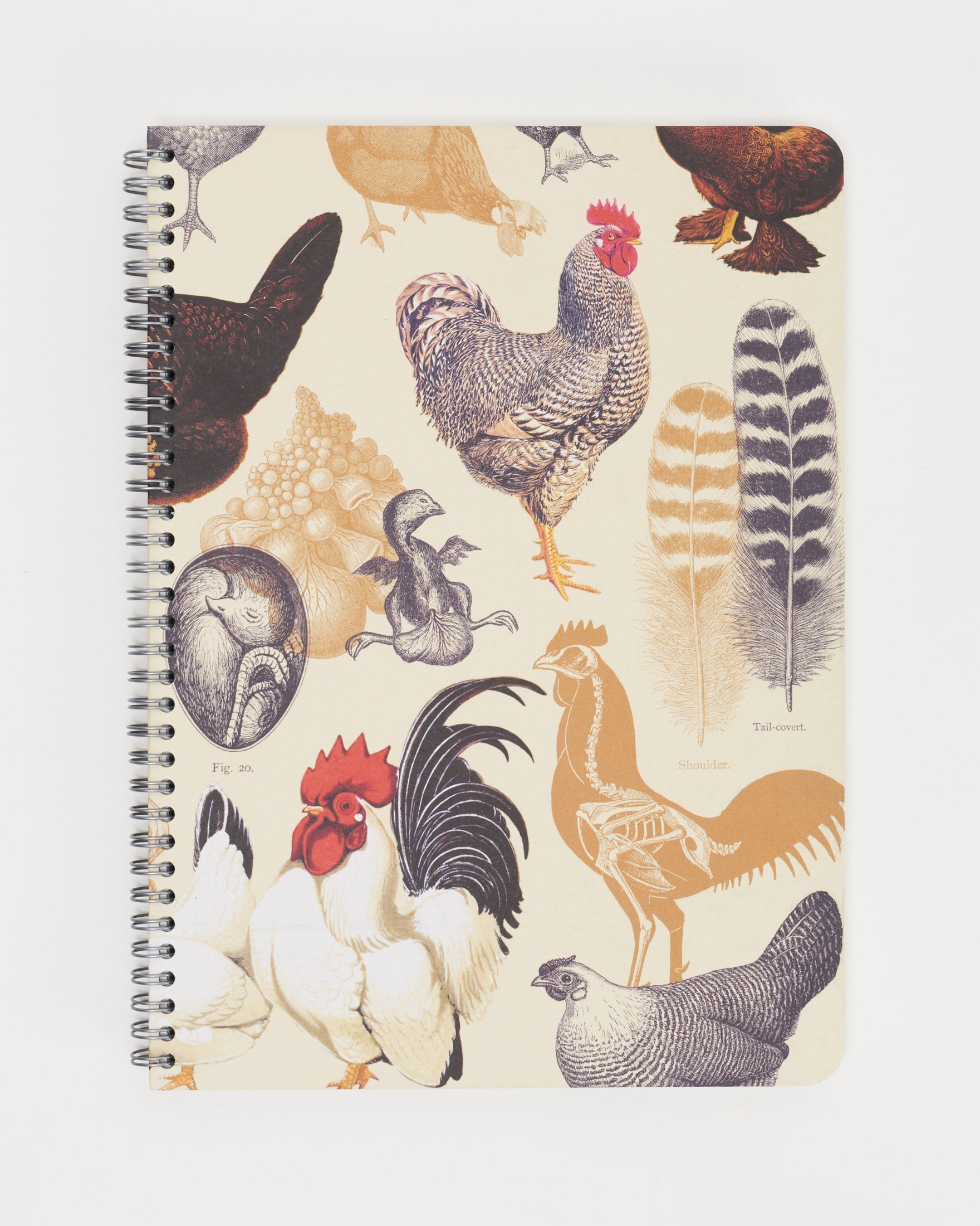 SECONDS: Backyard Birds: Chickens Spiral Notebook A4 (8.3" x 11.7")