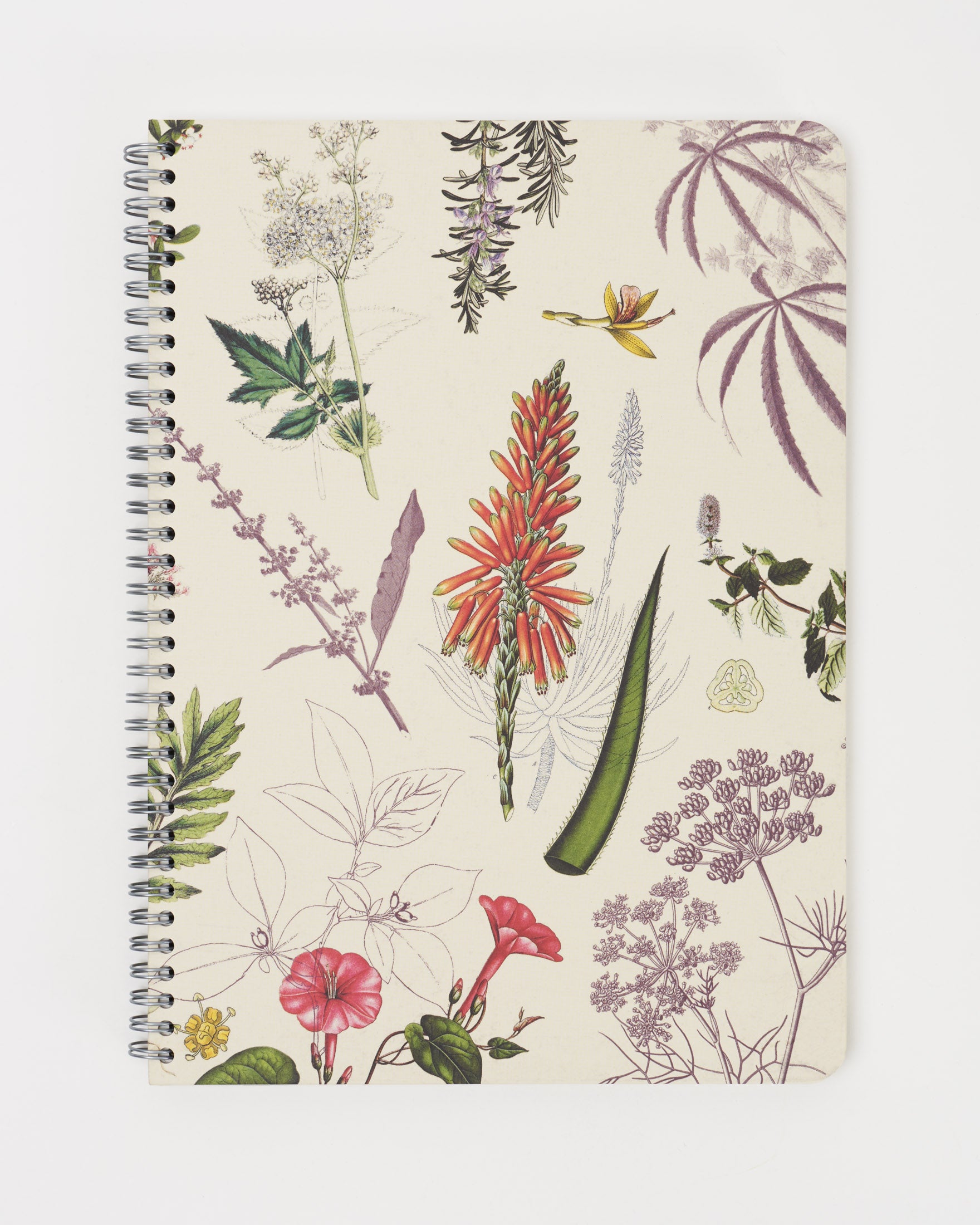 Botany Design Note Book Medicinal Botany Spiral Notebook | Cognitive Surplus