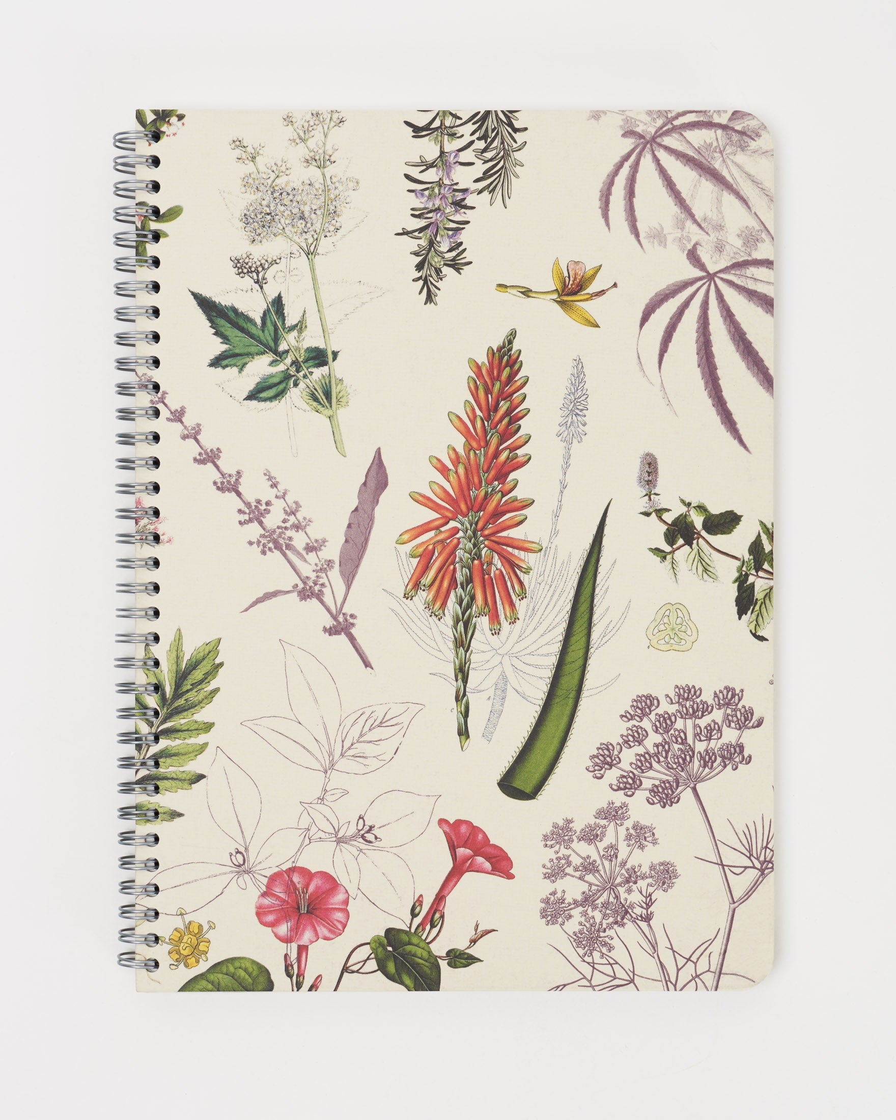 SECONDS: Medicinal Botany Spiral Notebook A4 (8.3" x 11.7")