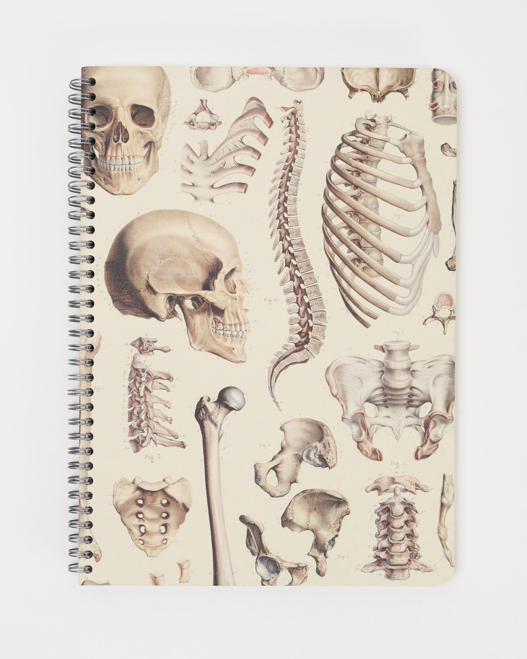 SECONDS: Skeleton Spiral Notebook A4 (8.3" x 11.7")